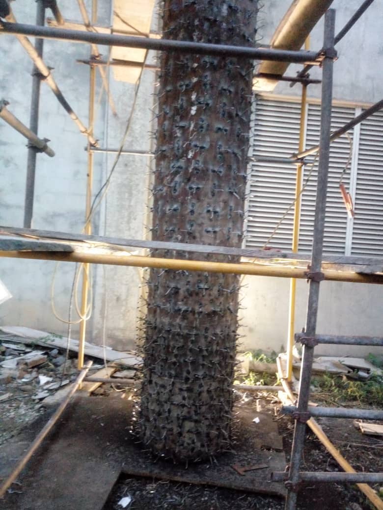 Refractory Installation